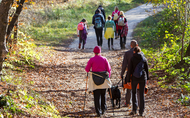 Bundesweiter "Tag des Wanderns" - Thüringen macht mit!